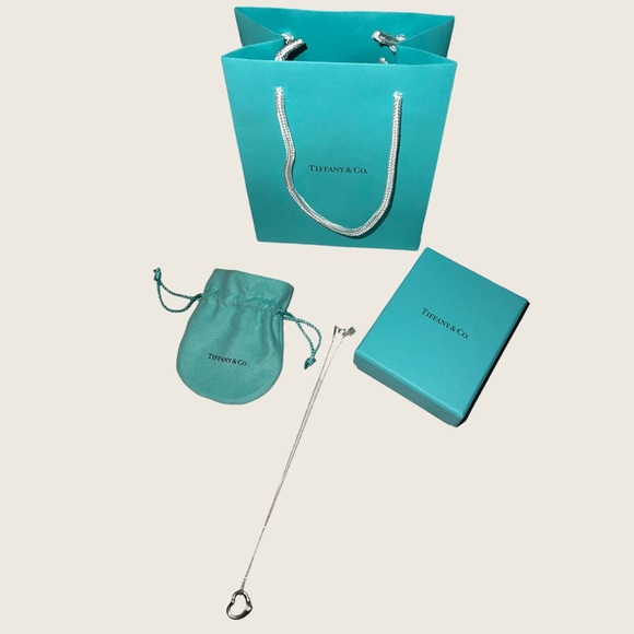 Tiffany & Co. Accessories - Brand New Tiffany & Co Necklace